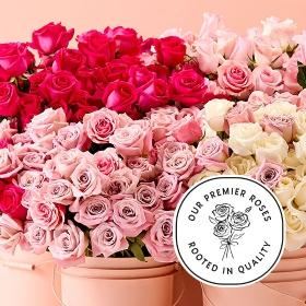 Header navigation sub menu